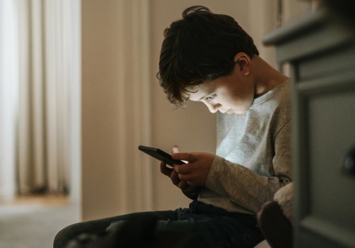 The Impact of Social Media on Bullying Awareness in Northern Utah: An Expert's Perspective